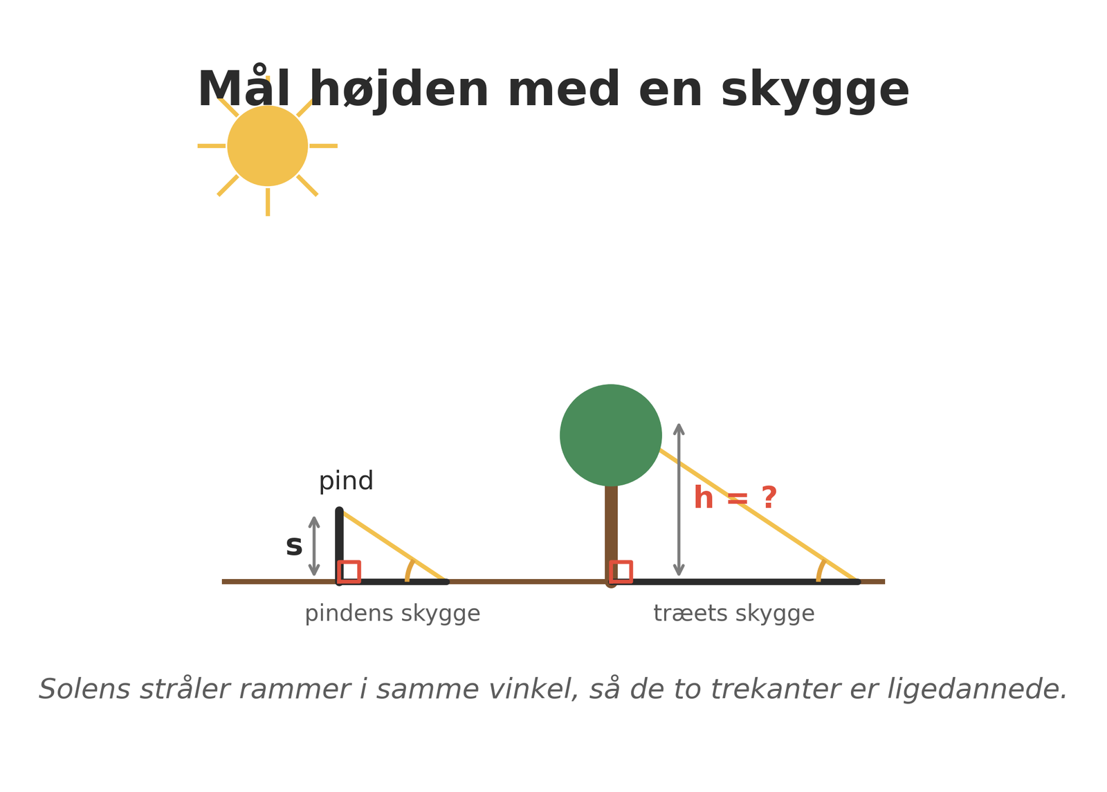 Træets skygge og pindens skygge