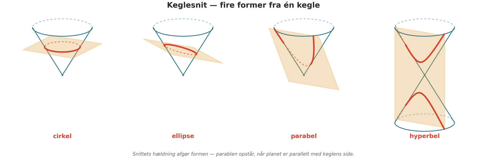 Keglesnit — fire former fra én kegle