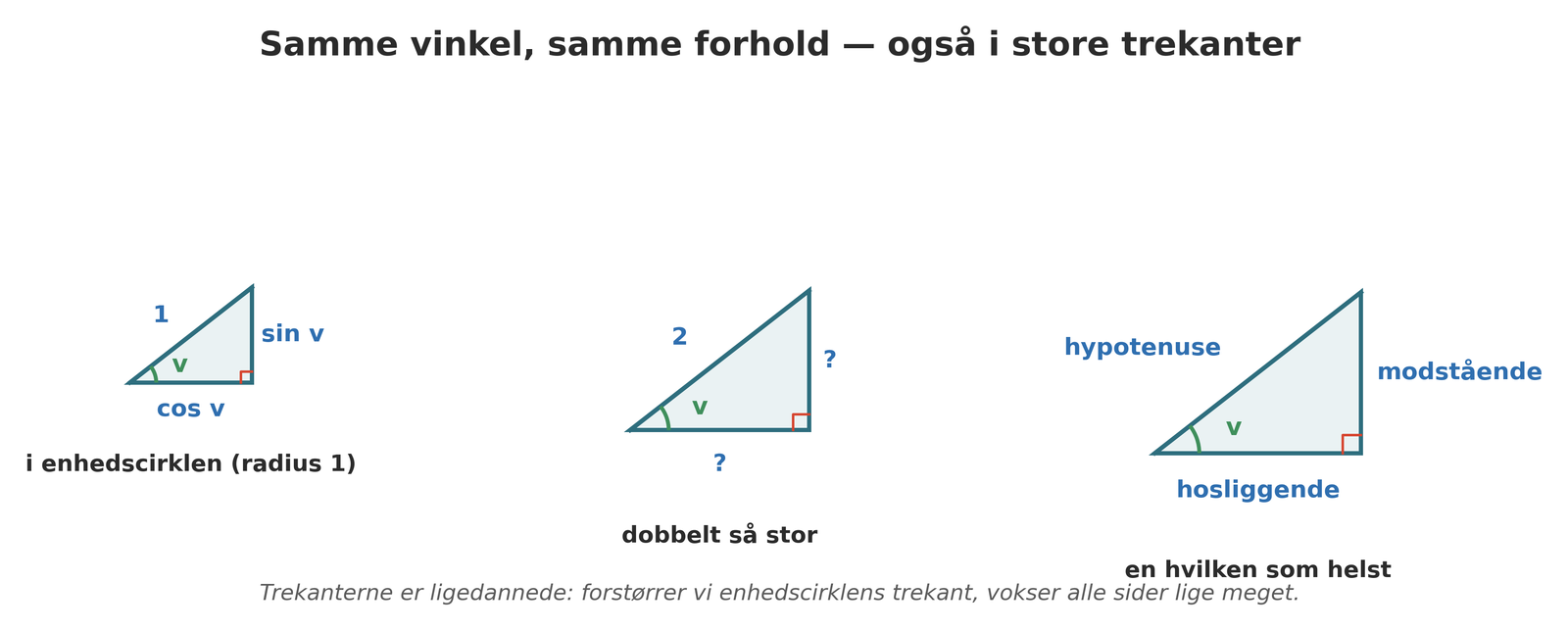 Fra enhedscirkel til retvinklet trekant