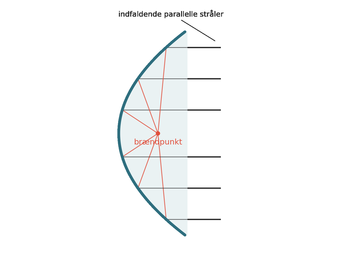 Det parabolske spejl